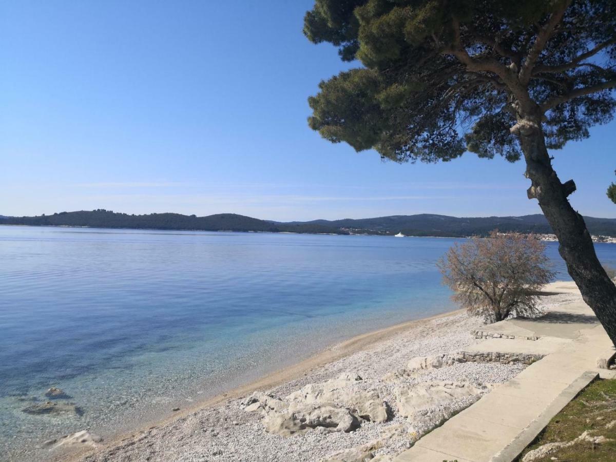 Sea And Pine Paradise Orebić Eksteriør bilde